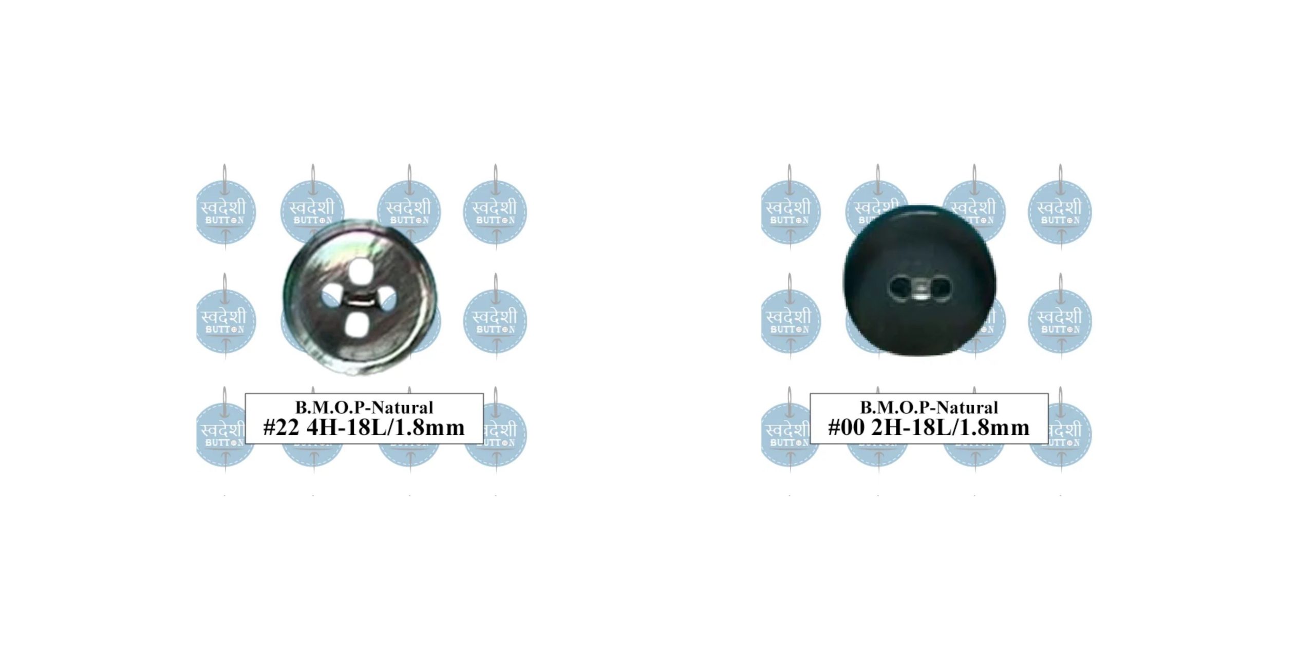 Discover Indian Real Shell Buttons in Bangladesh – Best Quality